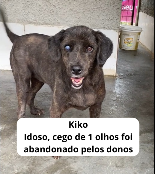 Kiko Idoso, cego de 1 olhos foi abandonado pelos donos