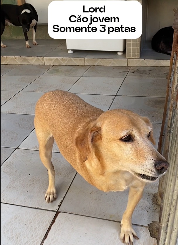 WhatsApp Image 2025-04-07 at 00.53.45