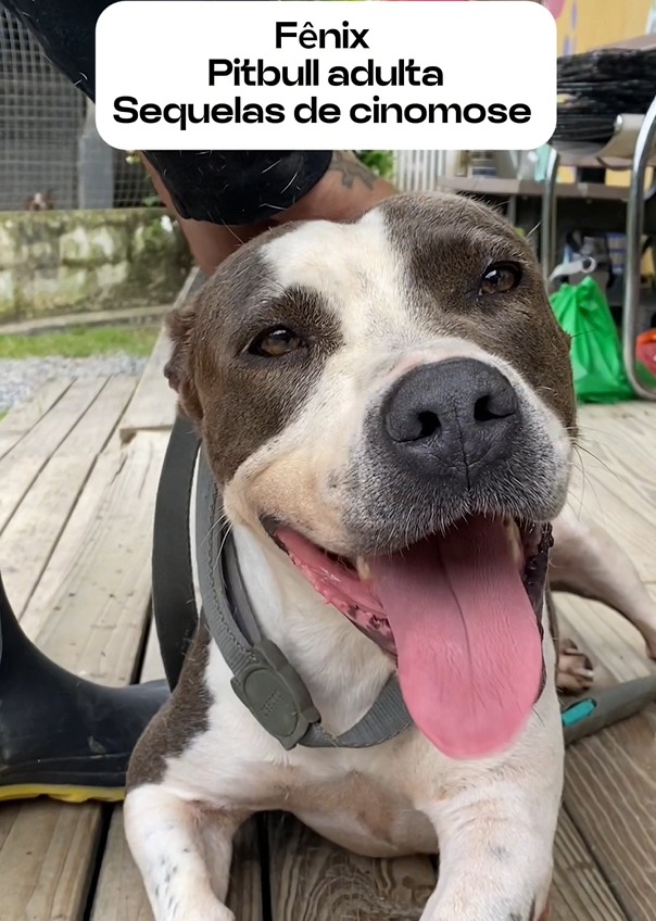 WhatsApp Image 2025-04-07 at 00.55.34