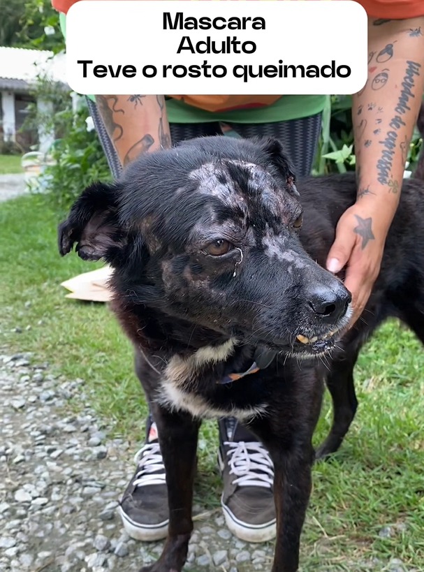 WhatsApp Image 2025-04-07 at 00.56.57